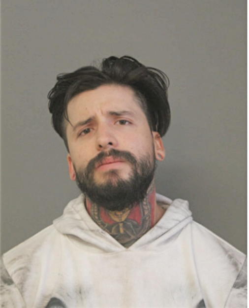 DIEGO E SANTOYO-MENDEZ, Cook County, Illinois