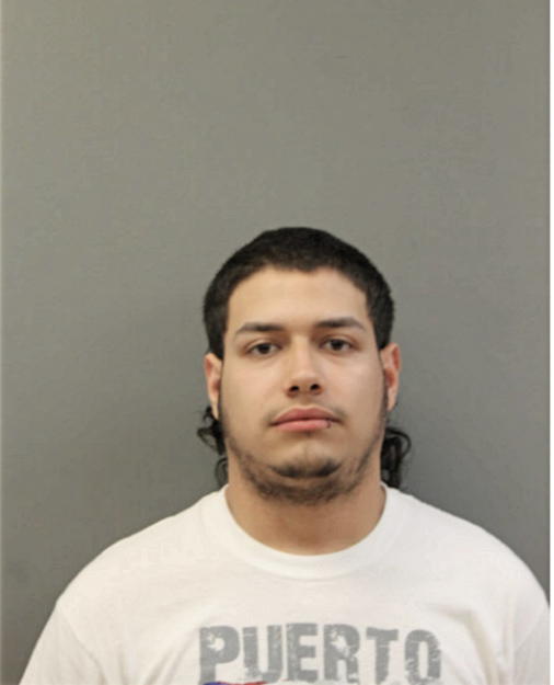 EDGAR BORGES VELEZ, Cook County, Illinois
