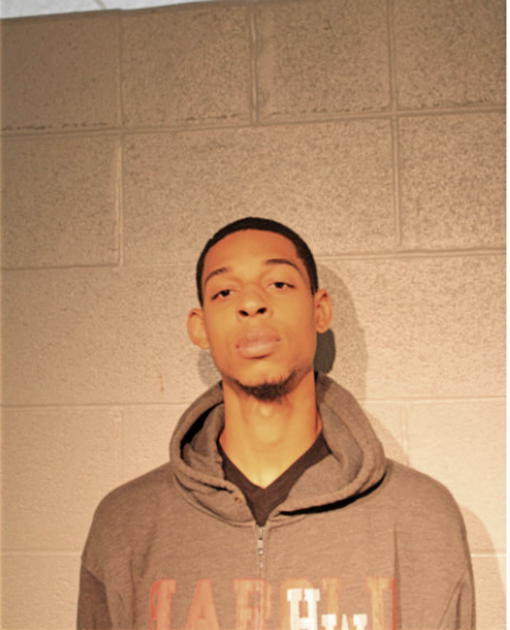 DERRICK C WOODS, Cook County, Illinois
