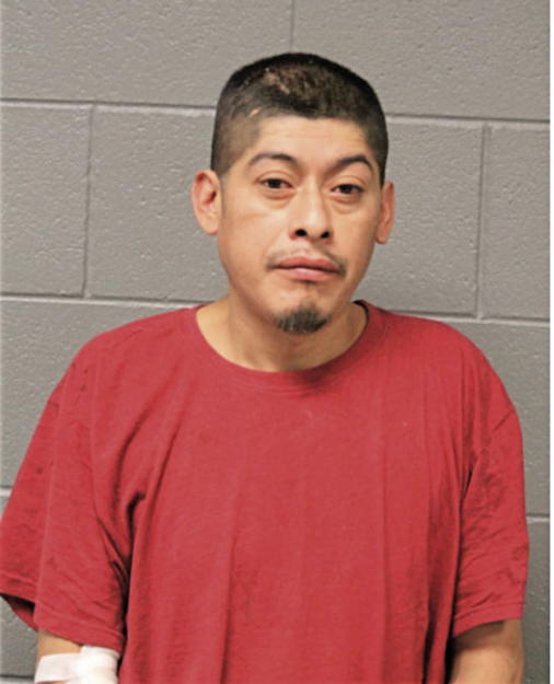 GUADALUPE ALVARES, Cook County, Illinois