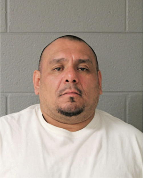 PEDRO ANDRADE, Cook County, Illinois