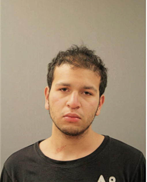 LEONARDO F BAEZ, Cook County, Illinois