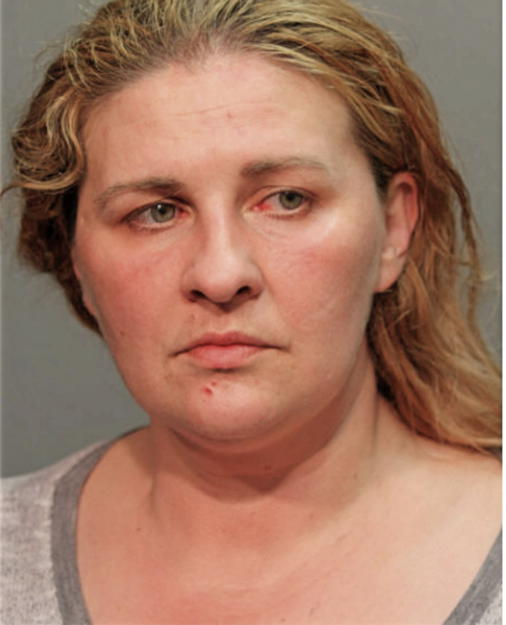 AGNIESZKA BLONSKA, Cook County, Illinois