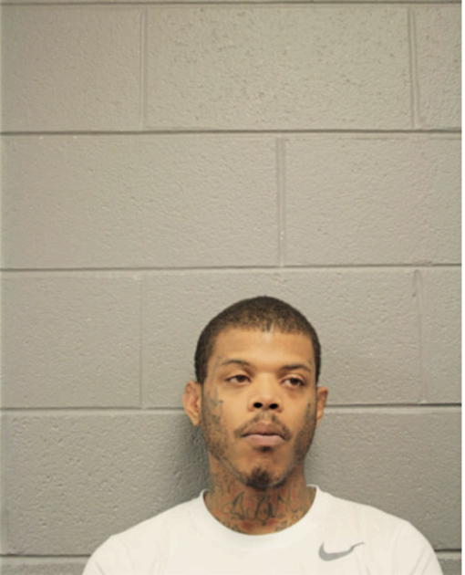 SERGIO J BRISBON, Cook County, Illinois