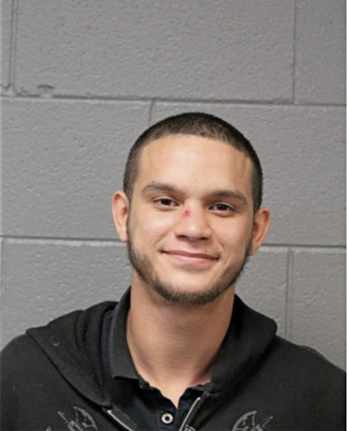 LUIS CARDONA, Cook County, Illinois
