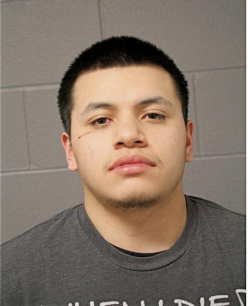 JUAN CARDOSO, Cook County, Illinois
