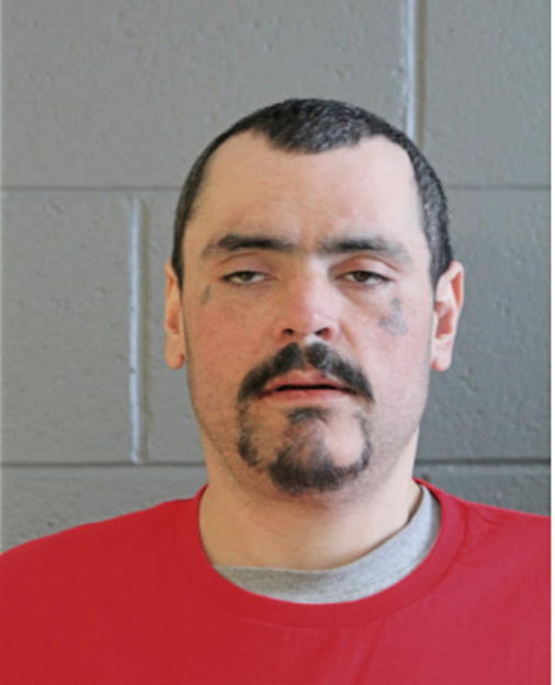 ANDREW M FAMIGHETTI, Cook County, Illinois