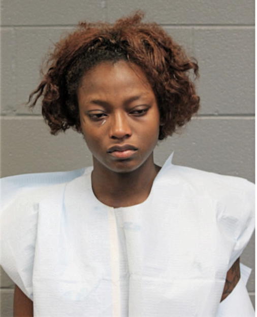 HEIDI FERGUSON, Cook County, Illinois