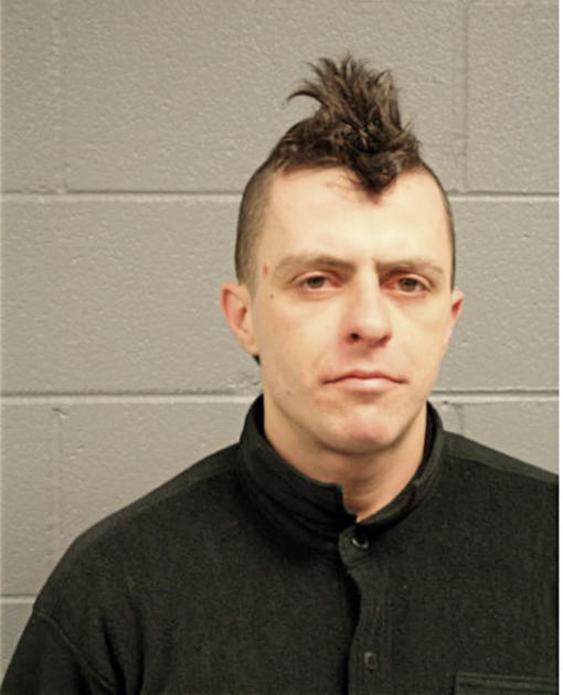 STEVEN B FILIPPIN, Cook County, Illinois