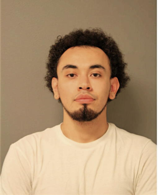 LUIS M GARCIA, Cook County, Illinois