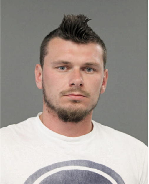 DANIEL L GOLUZD, Cook County, Illinois