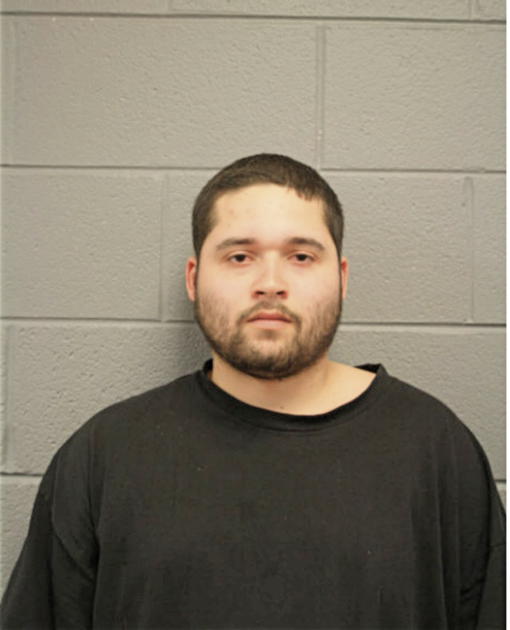 LUIS E GONZALEZ, Cook County, Illinois
