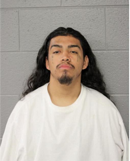 TIMOTHY M GONZALEZ, Cook County, Illinois