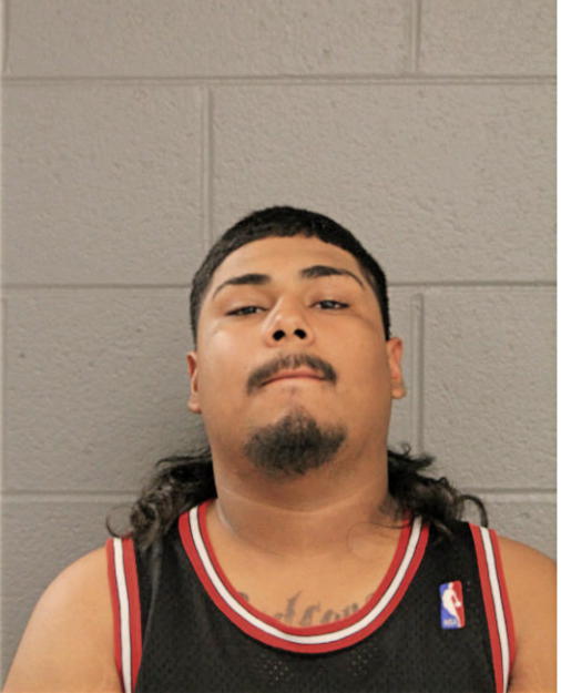 DAVID GUTIERREZ, Cook County, Illinois