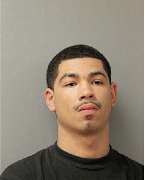 WILLIAM J JACKSON, Cook County, Illinois