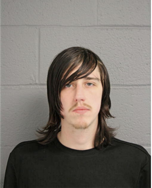 PAUL T LOVE, Cook County, Illinois
