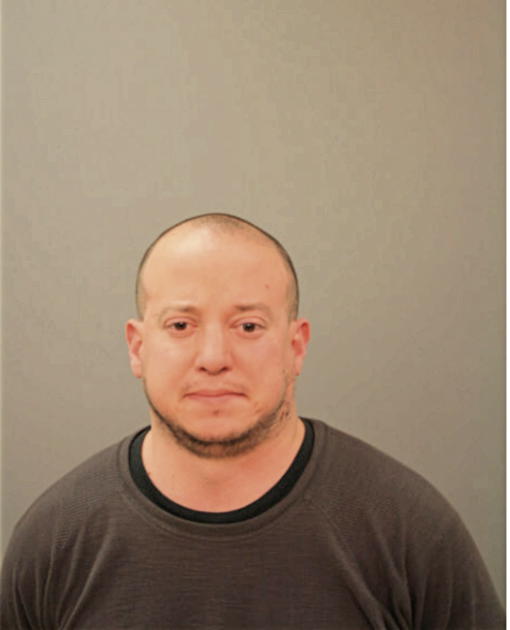 JOSEPH J MARTINELLI, Cook County, Illinois