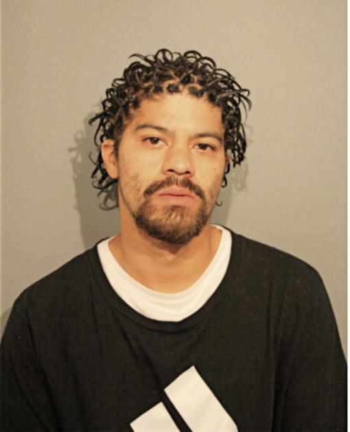 LEONARDO MONTENEGRO, Cook County, Illinois