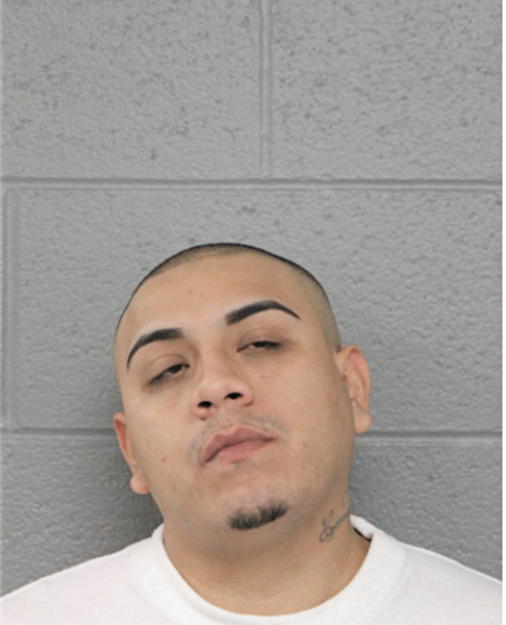 VICTOR S OCHOA, Cook County, Illinois