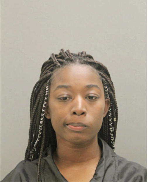 DYNASTY L RAGLAND, Cook County, Illinois