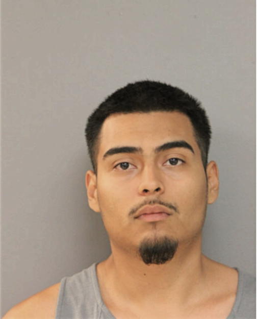 ADRIAN A RAMIREZ, Cook County, Illinois