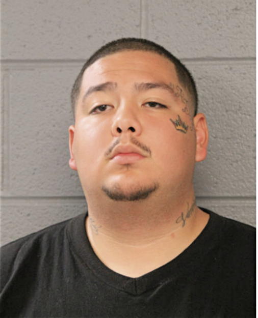 DAVID G SALINAS, Cook County, Illinois