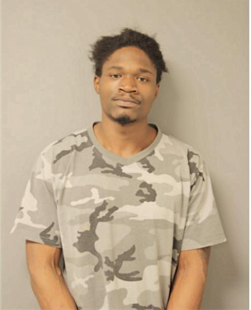 DAVID I SCOTT, Cook County, Illinois