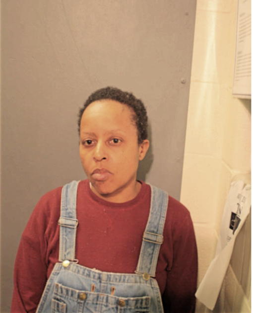 KARI A BRUMLEY, Cook County, Illinois
