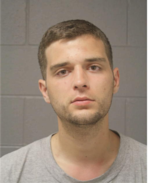RYAN J CHAFFIN, Cook County, Illinois