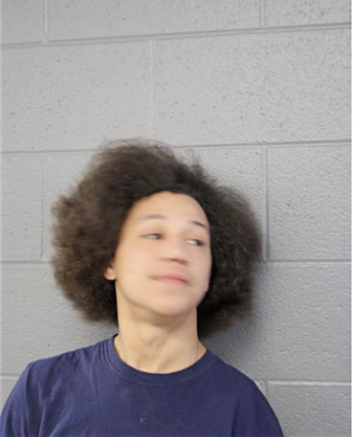 JESSE A COX, Cook County, Illinois