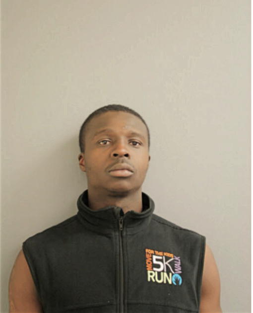 LOUIS E DAVIS, Cook County, Illinois