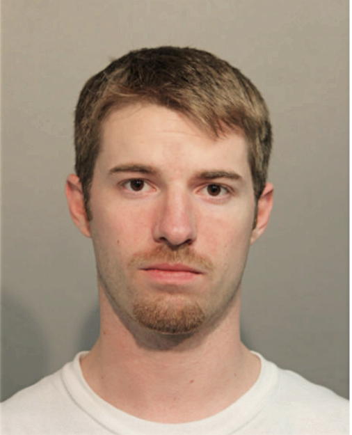 MICHAEL J DE VIVO, Cook County, Illinois