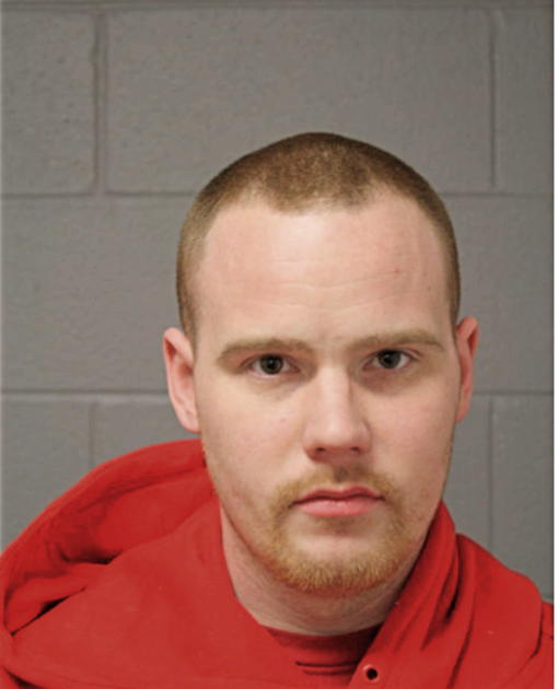 MICHAEL J DWYER, Cook County, Illinois