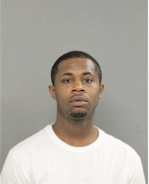 JOHNNIE D EVANS, Cook County, Illinois