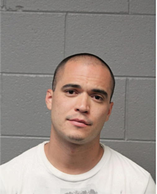 DANIEL A FERRER, Cook County, Illinois