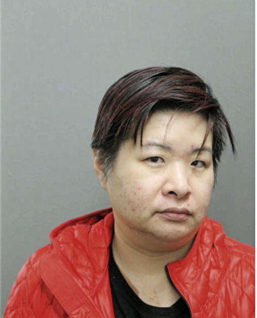 DONNA Y GONZALEZ, Cook County, Illinois