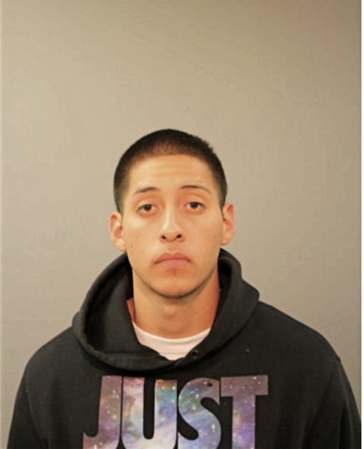 BERNARDO HERNANDEZ, Cook County, Illinois
