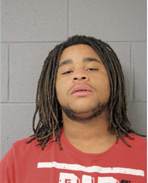 DAVID J JACKSON, Cook County, Illinois