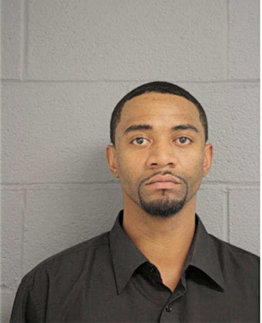 MICHAEL L JONES, Cook County, Illinois