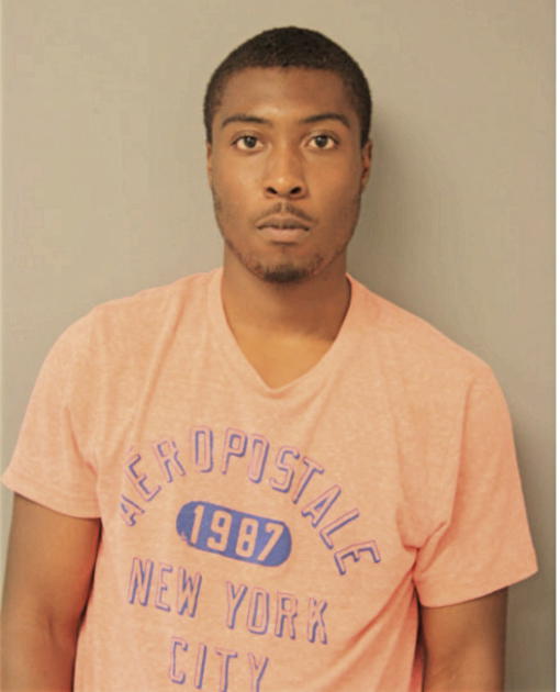 ANDRE L LEE, Cook County, Illinois