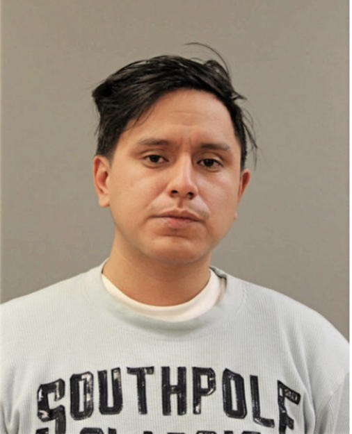 DANNY K LUNA, Cook County, Illinois