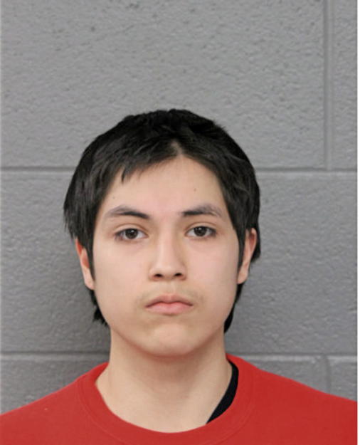 FABIAN MENDOZA, Cook County, Illinois