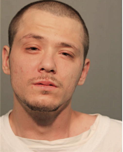 TERRY L MIKKELSON JR, Cook County, Illinois