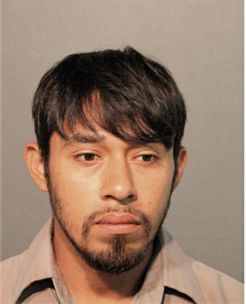 FELIX OCAMPO, Cook County, Illinois
