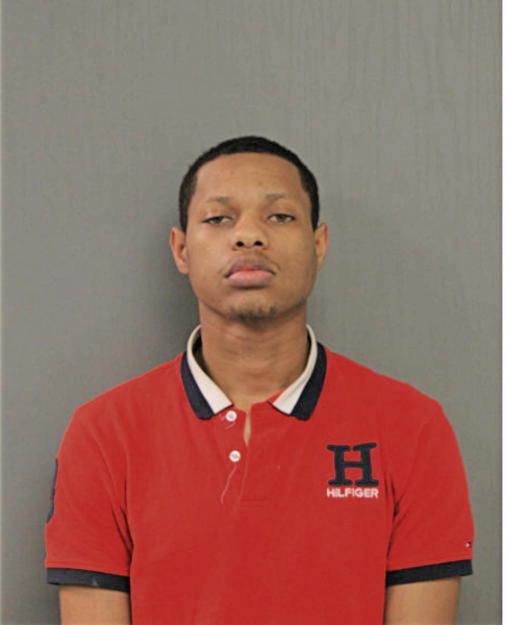 MICHAEL P STANFORD, Cook County, Illinois