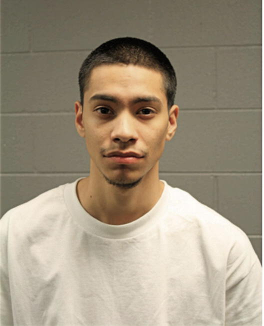 CHRISTIAN R VASQUEZ, Cook County, Illinois