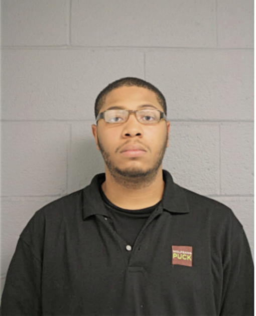 DARAE D AUSTIN, Cook County, Illinois