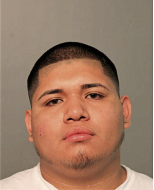 IRVING D AVILES, Cook County, Illinois