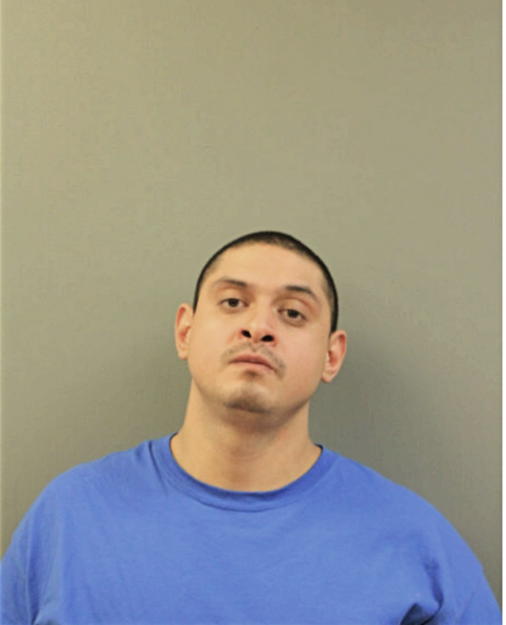 RICARDO BAHENA, Cook County, Illinois