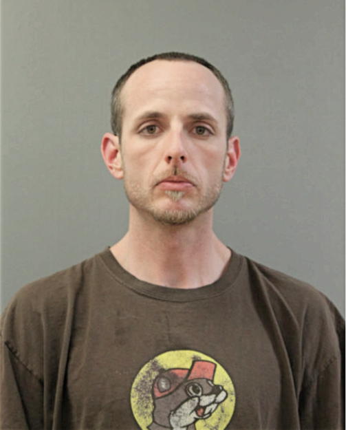 BRIAN L BIDDLE, Cook County, Illinois